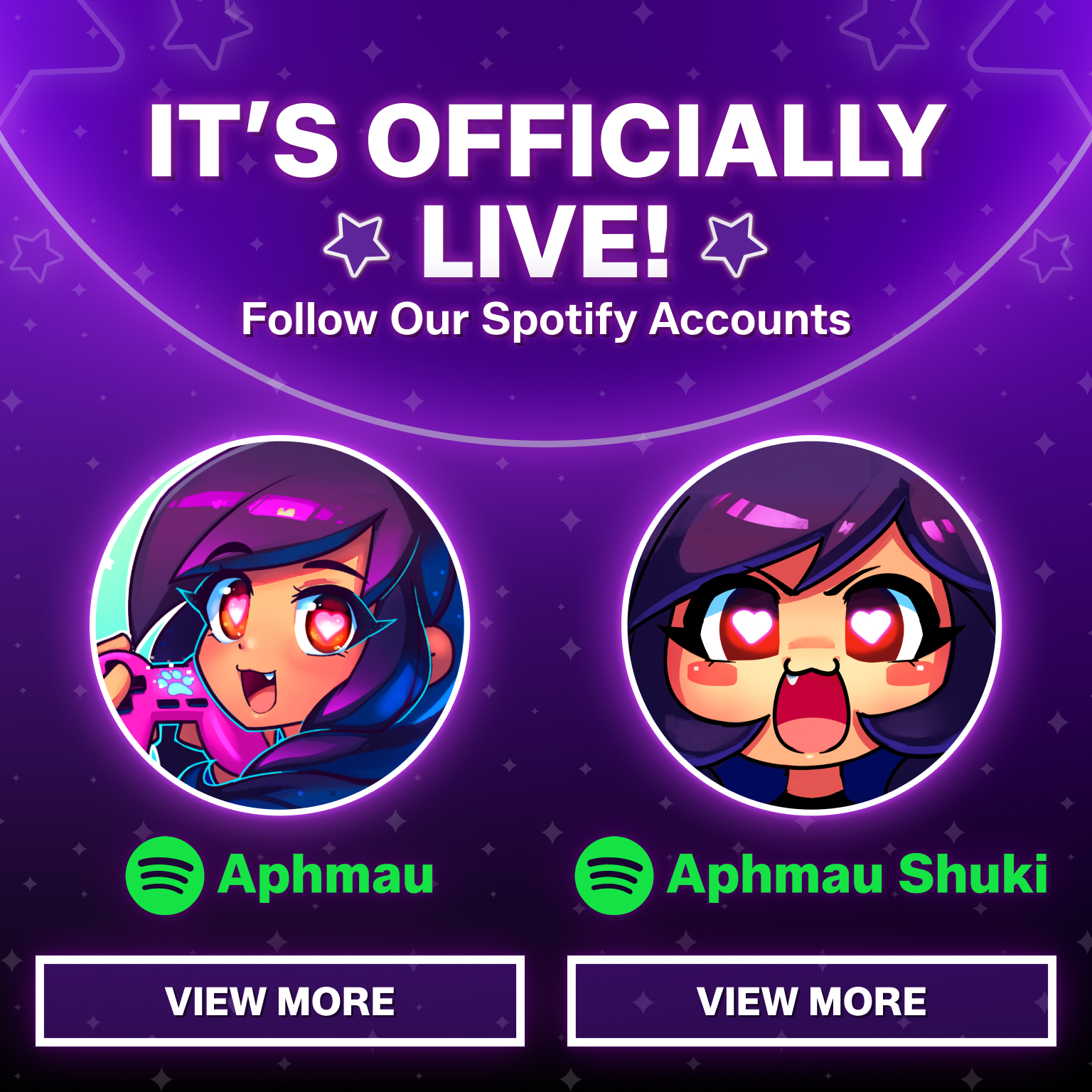 Spotify accounts